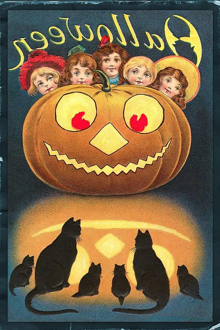 halloween, cổ điển, những con mèo, trẻ em, Thẻ, vui mừng, ngày lễ, con gái, thú vật, quả bí ngô, đáng sợ