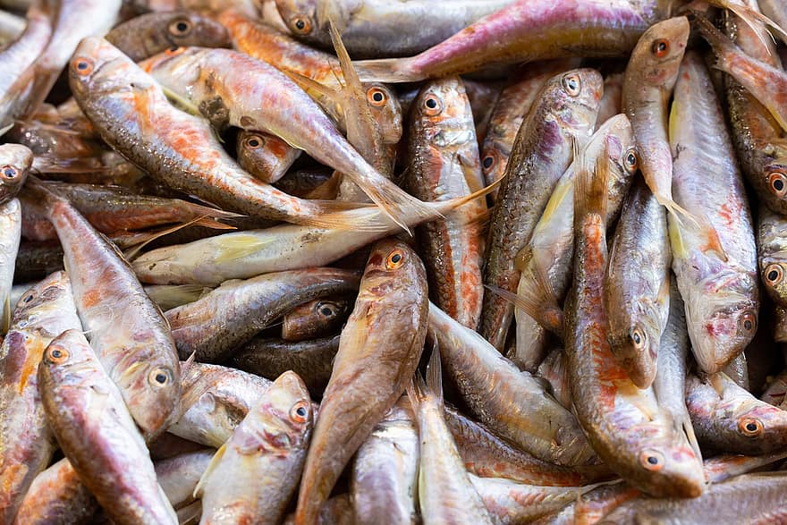 魚、魚市場、新鮮な魚