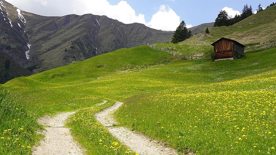 trilha, celeiro, Prado, agricultura de montanha, ao ar livre, grama, montanha, verão, cor verde, cena rural, panorama