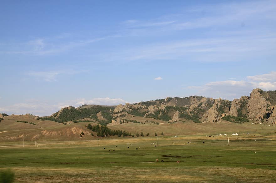 モンゴル国、砂漠、牧草地、放牧、農村、草、風景、夏、田園風景、山、緑色