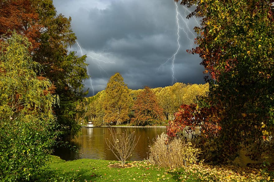 Thunderstorm, Flashes, Heaven, Nature, Forest, autumn, yellow, tree, leaf, season, water