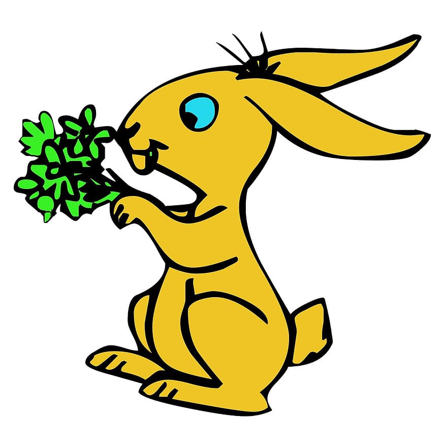coniglietto, Pasqua, tradizione, coniglio, animale, fiore, verde, cartone animato, bianca, sfondo