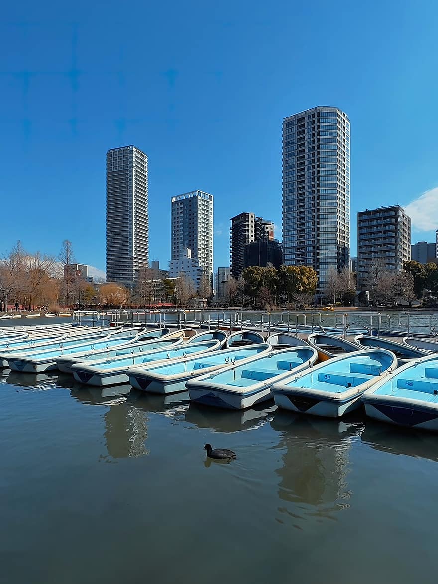 båtar, Shinobazu Pond, taito city, stadsbild, byggnader, horisont, skyskrapor, hamn, dagtid, Ikenohata, japan