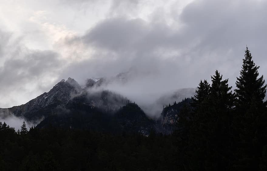 ธรรมชาติ, หมอก, ภูเขา, ภูเขาแอลป์, Tyrol, ต้นไม้