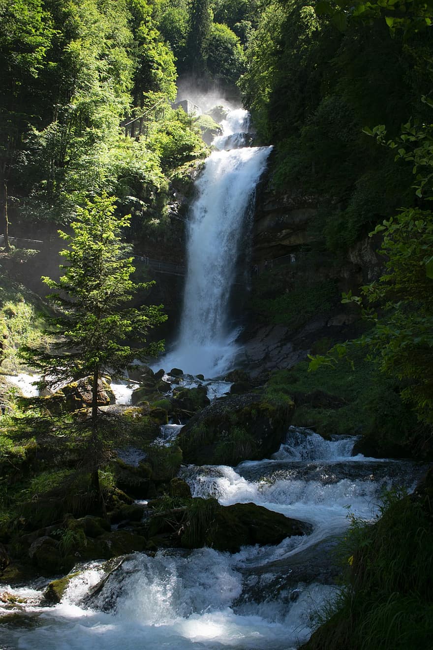 Waterfall, Stream, Forest, Trees, Mountain, Alps, Nature, Swiss