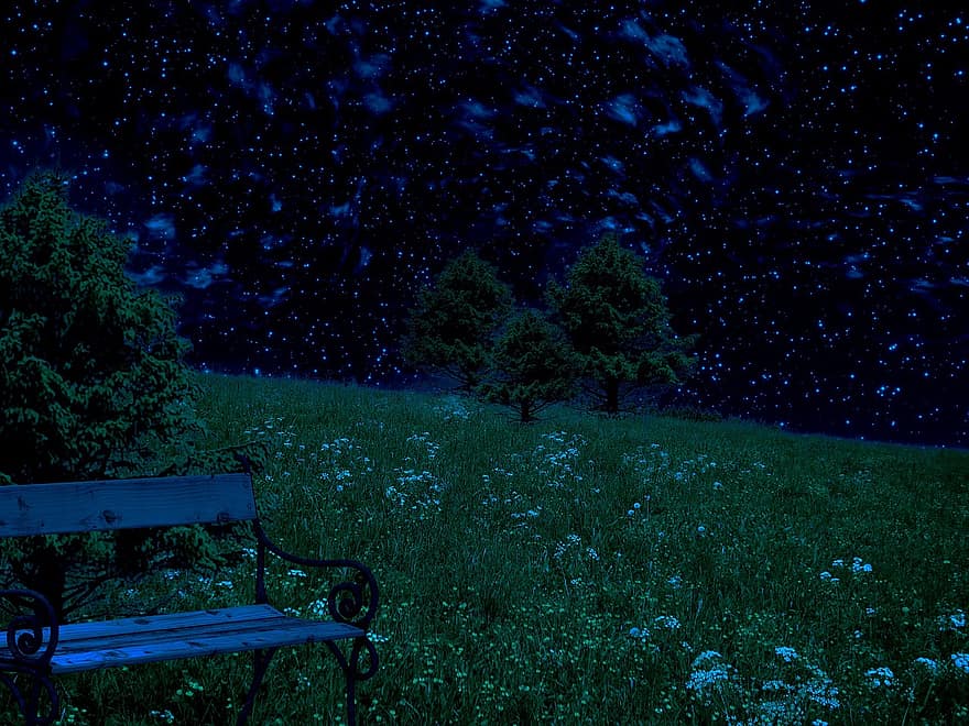 bulan, padang rumput, kegelapan, bintang, pohon, alam, suasana hati, mistik, pemandangan, malam, hutan