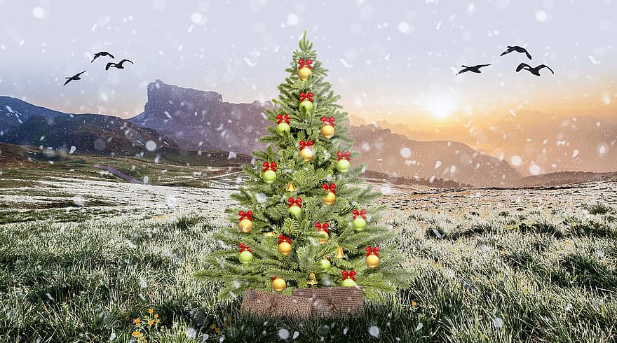 Коледа, дърво, поле, сняг, птици, празничен, студ, топло, планини, трева, подаръци