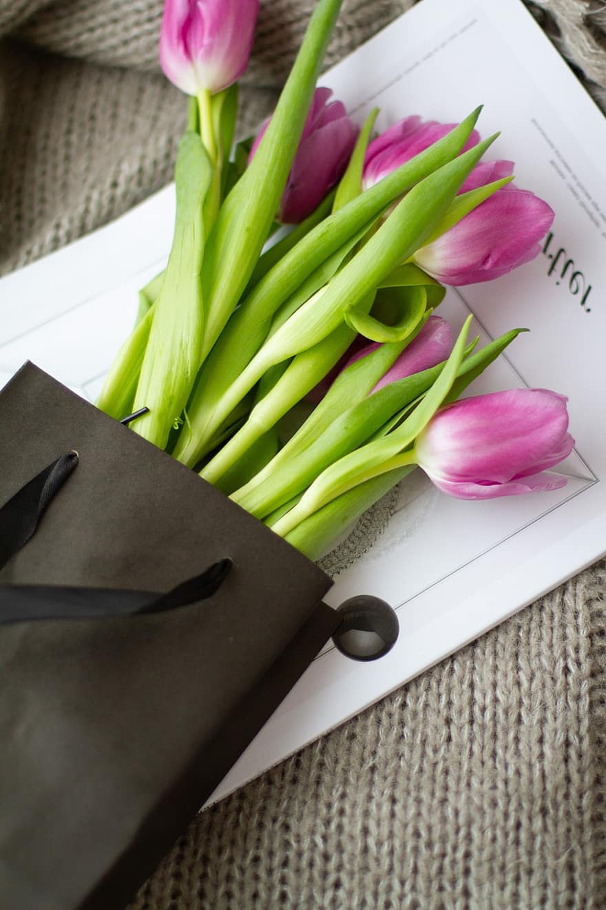 blomster, tulipaner, blomst, blomstre, botanikk, anlegg, vår, sesong, gave, tulipan, friskhet