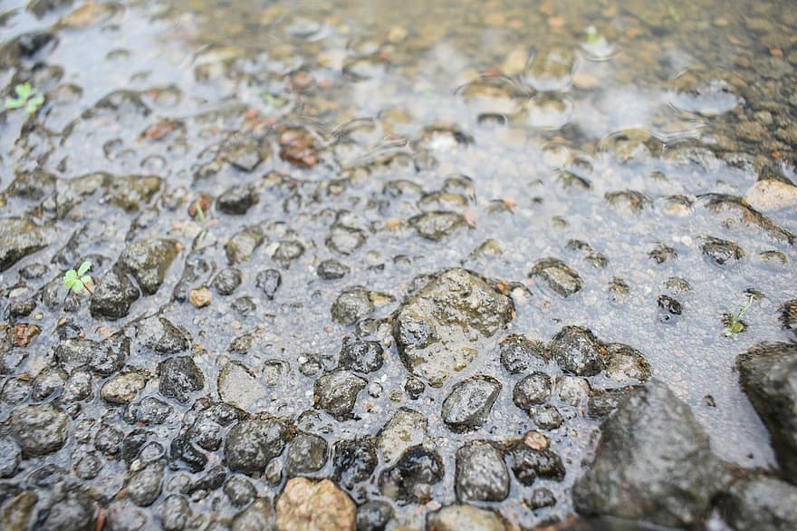 Water, Pebbles, Rocks, Stones, Wet, Puddle, close-up, backgrounds, pattern, stone, abstract