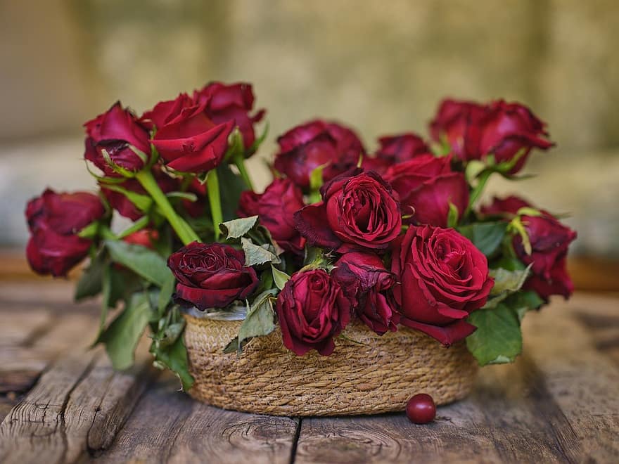 mawar, daun, merah, romantis, hari Valentine, cinta, perempuan, menyajikan, mengherankan, perayaan, ulang tahun