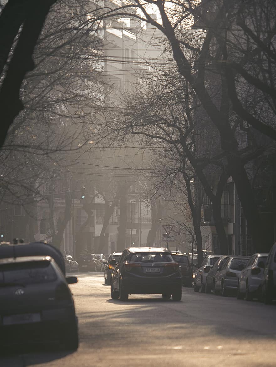 cidade, tráfego, rua, névoa, nebuloso, urbano, manhã