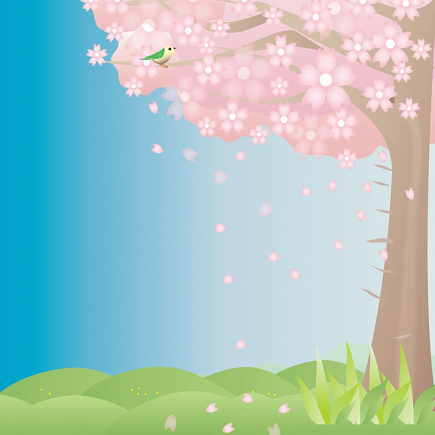 Sakura Florals, árvore, ramo, Primavera, Rosa, natureza, cereja, floral, flor, temporada, japonês