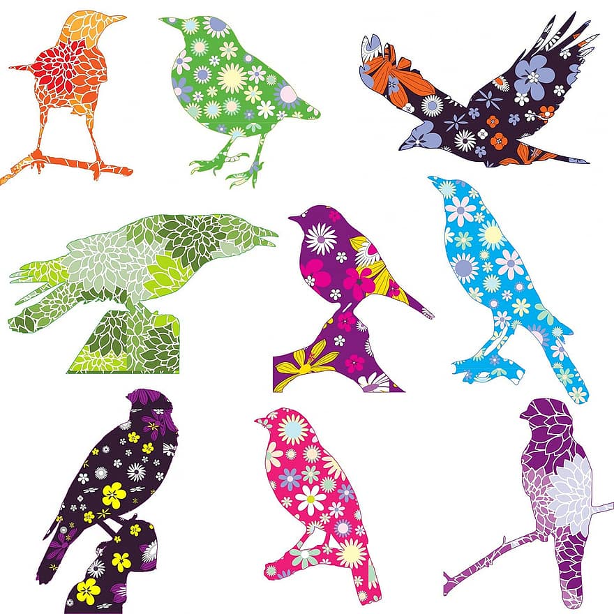 птица, птицы, цветочный, цветы, цветистый, трусливый, ретро, веселье, красочный, яркий, Изобразительное искусство