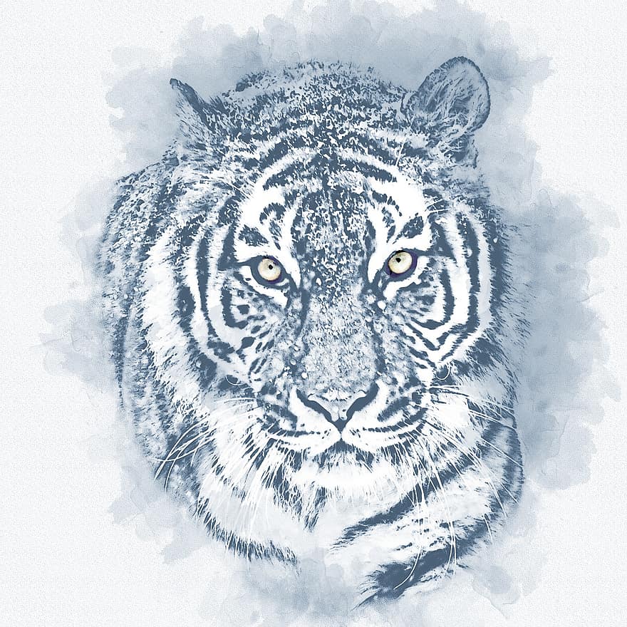 amur tiger, tiger, feline, vild, kat, siberian, rovdyr, kødædende, farligt, portræt, fotokunst