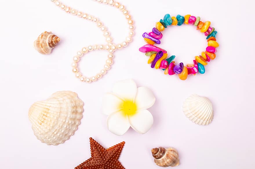 coquillages, accessoires, fond d'été, Contexte, été, mode, plage, tropical, étoile de mer, collection, décoration