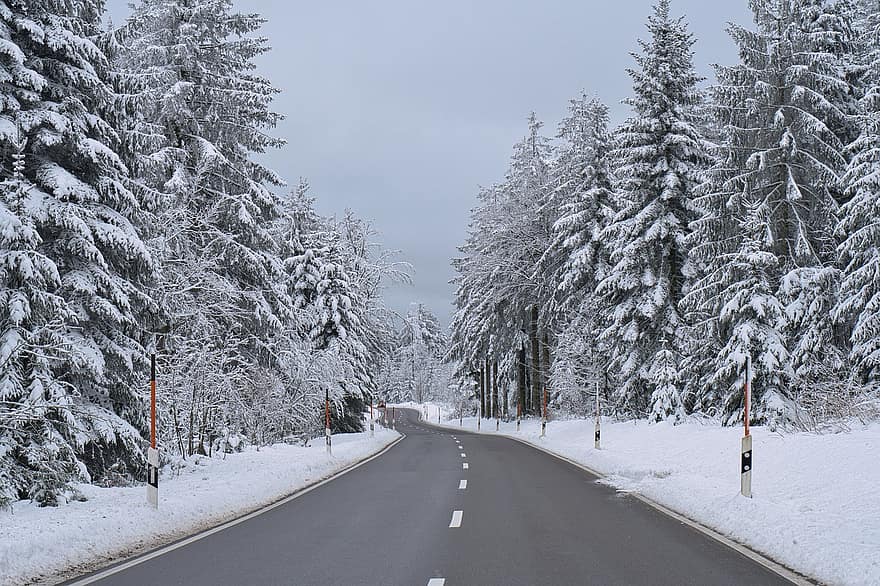 Winter Wunderland, Schnee, schneebedeckt, Landschaft, Winter, Natur, Winterzauber, Tannen, Wintertraum, winterlich, Winterwald