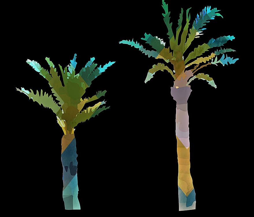 palmuja, kämmenet, Puut, trooppinen, luonto, Palmu, kookospähkinä, puun lehti, yksittäinen, vihreä, abstrakti