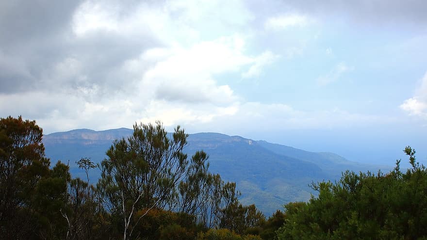 arboles, bosque, montañas, colina, Punto Wentworth, sydney, Australia, naturaleza