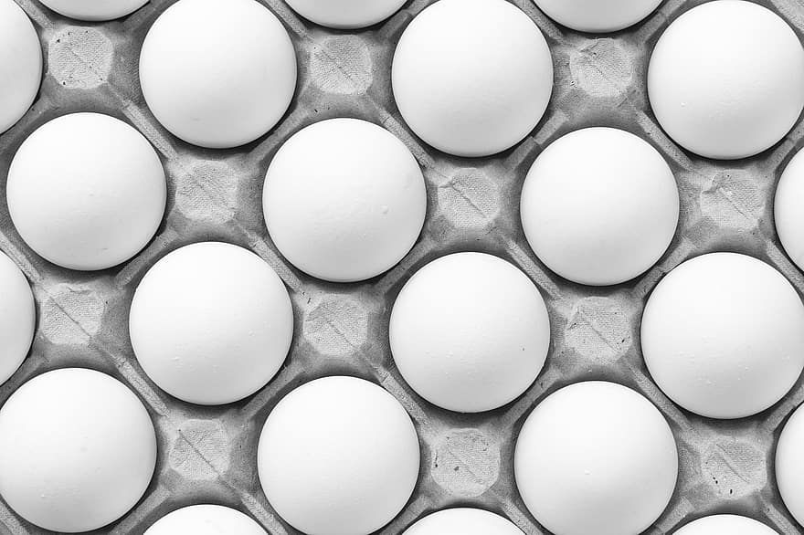 uova, cibo, vassoio per le uova, modello, uova bianche, uova di gallina, biologico, salutare