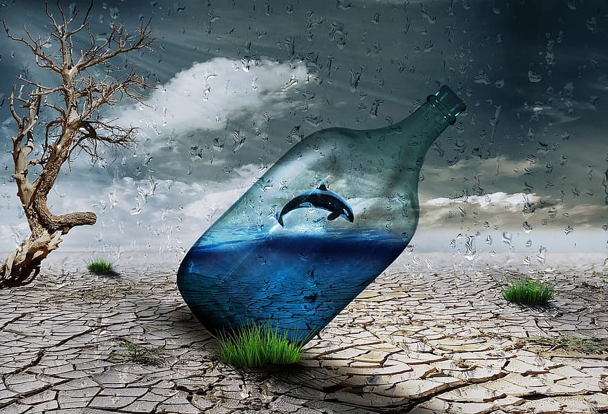 Desierto, botella, delfín, viento, Art º, creatividad, naturaleza, lluvia, estado animico