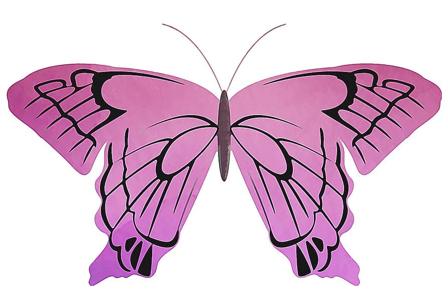 розовый, бабочка, насекомое, акварель, весна, крыло, летом, природа, красочный, бабочка фон, яркий