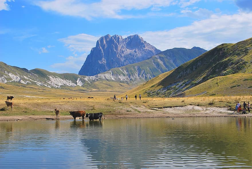 hegyek, tó, emberek, állatok, Abruzzo, gran sasso, Császár mezője, ökrök, trekking, természet, környezet