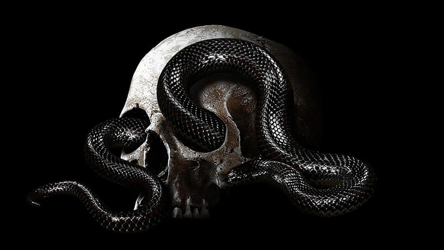 serpent, tête, sauvage, conception, morte, aventure, camping, la nature, crâne, Sablier, squelette