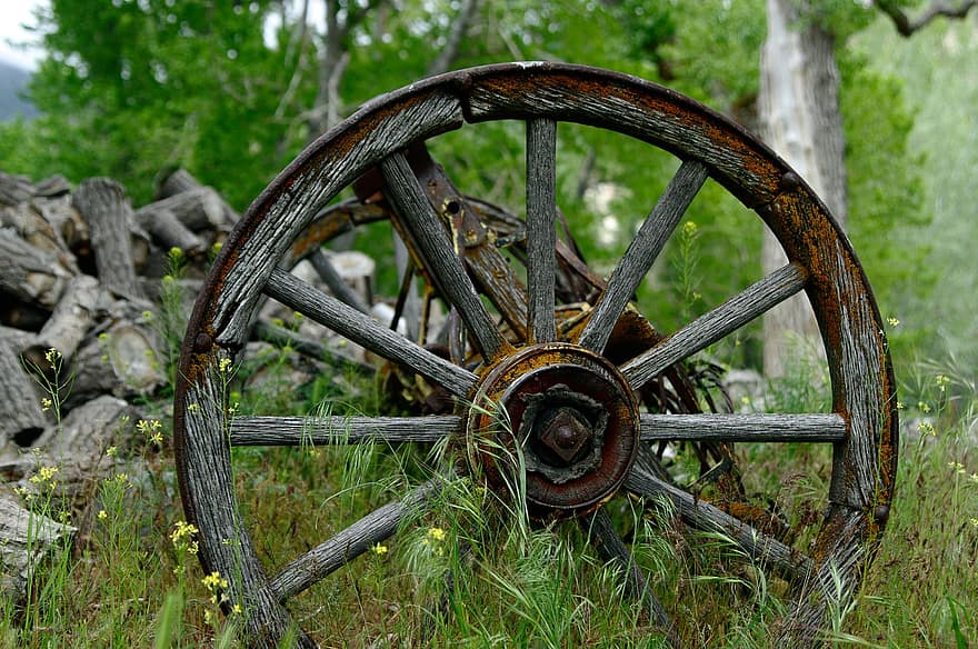 carrinho, roda de vagão, vagão, de madeira, pioneiro, oeste, trilha de Oregon, ocidental, vintage, fronteira, roda