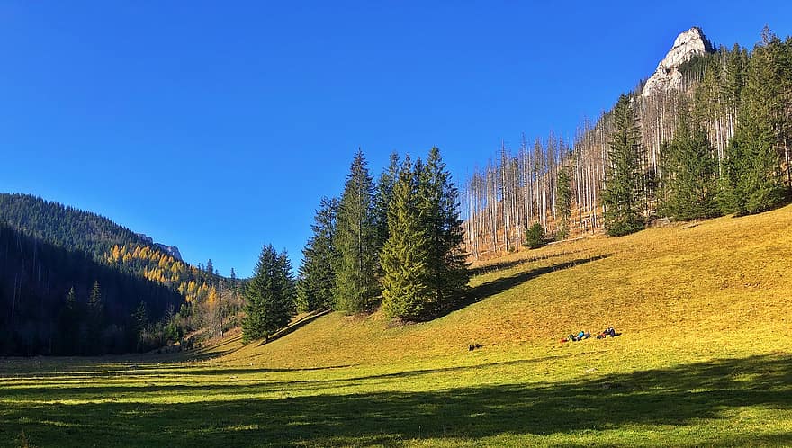 Tatra Dağları, dağlar, Polonya, sonbahar, çayır, doğa