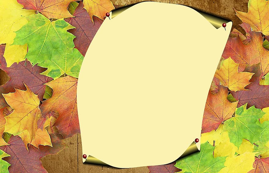 musim gugur, daftar, catatan, kertas, muncul, Oktober, Daun-daun, maple, beech, alam, tentu saja