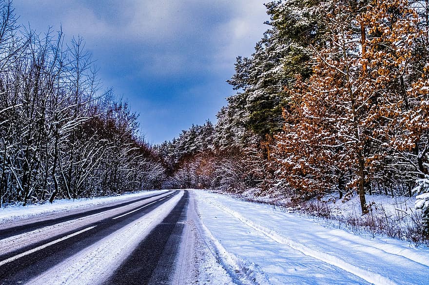 invierno, nieve, la carretera, bosque, paisaje, naturaleza, autopista, camino, árbol, temporada, escena rural