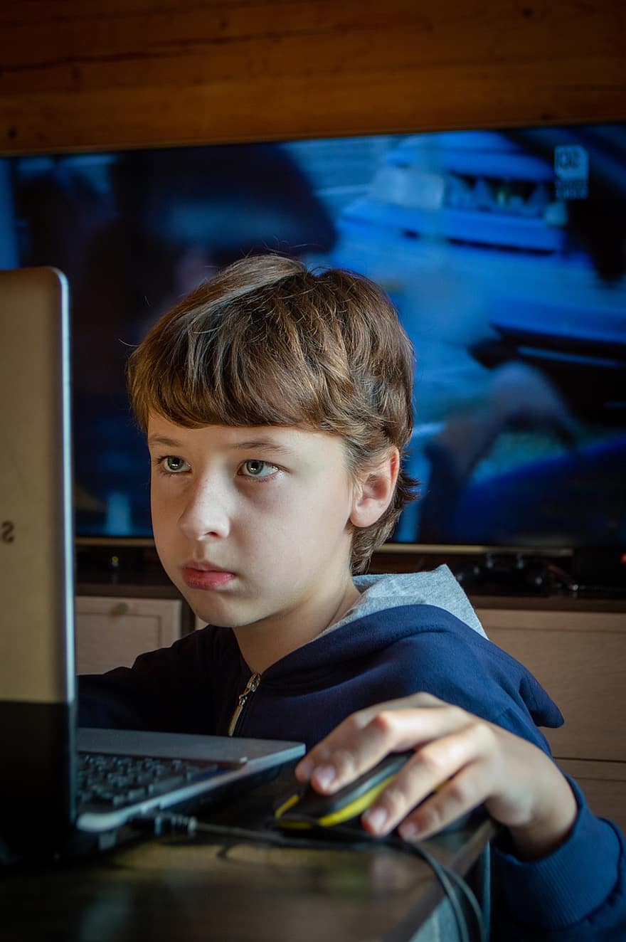 gutt, internettet, Online spill, baby, caucasian, notisbok, surfe på internett, tenåring, sider, barn, datamaskin