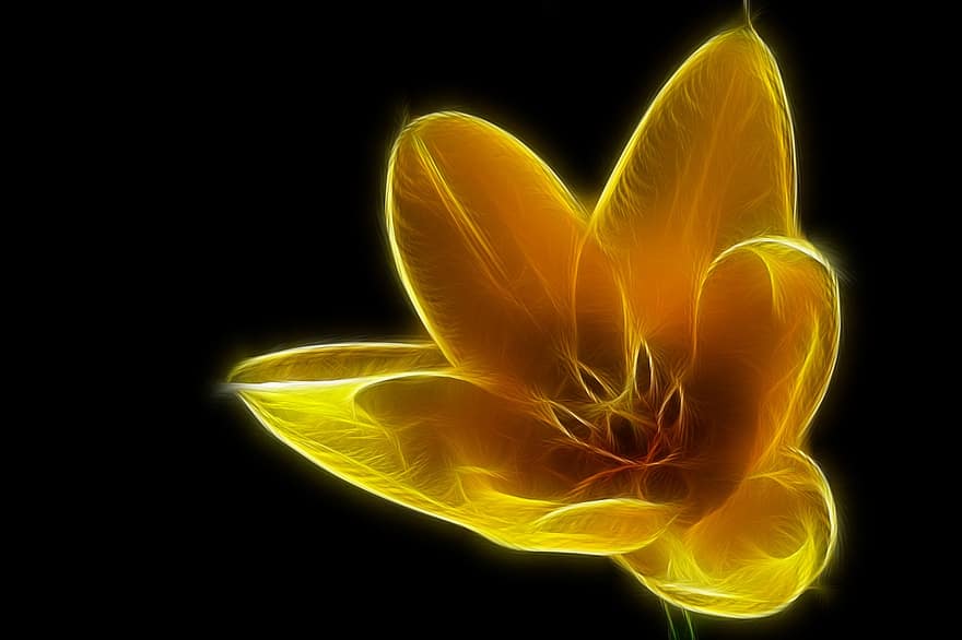 Fractals, Tulip, Yellow, Spring, Blossom, Bloom