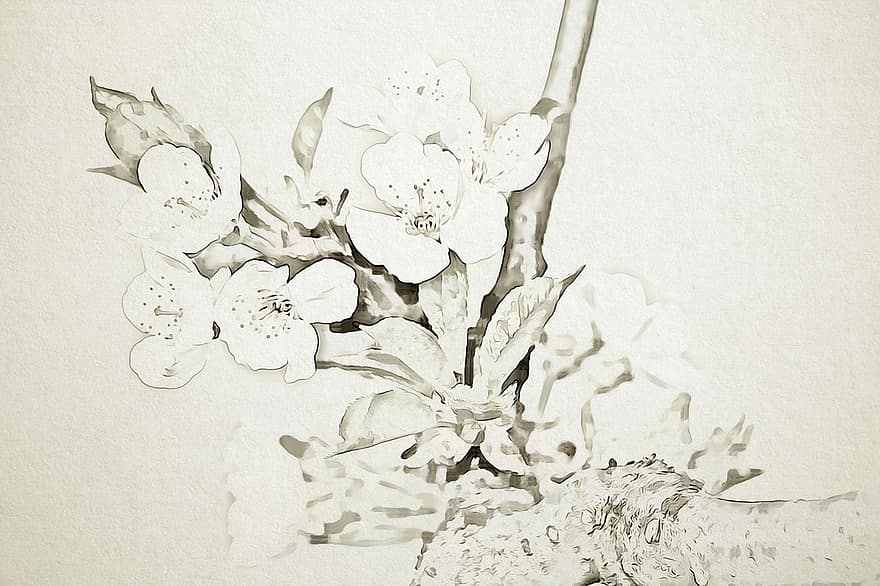 Background, Writing Paper, Handmade Paper, Digital, Graphics, Flower, Petal