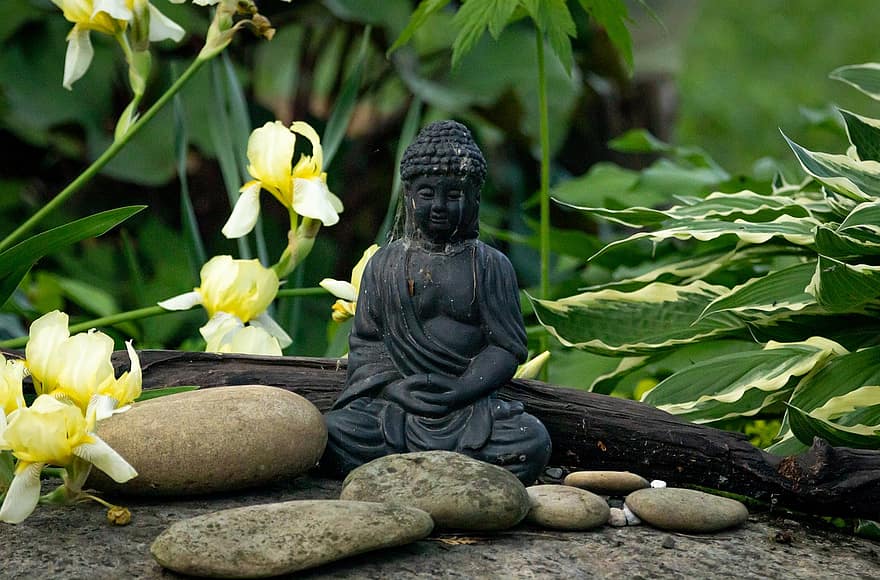 naturalesa, Buda, roche, jardí, meditació, fulls, budisme, meditar, espiritualitat, religió, flor