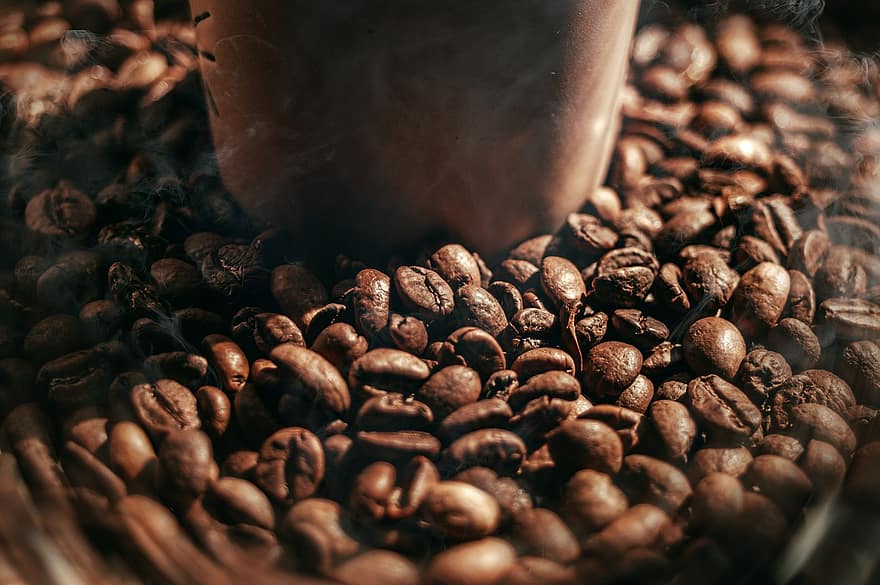 kaffe grunder, Rostad kaffesump, koffein, närbild, böna, bakgrunder, dryck, kaffe, mörk, friskhet, utsäde