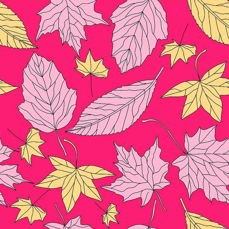 podzim, sušené listy, suchý, Příroda, listy, žlutá, strom, žlutý list, stálý život, suchý list, osamělost