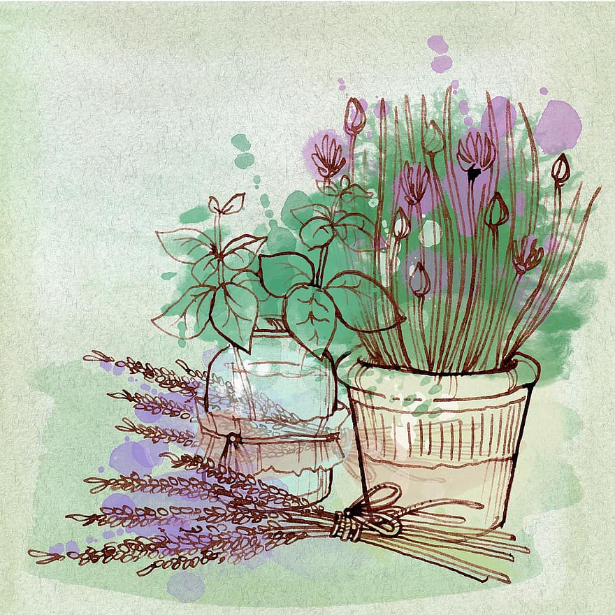 natur, maleri, flora, lavendel, blomster, lilla, plante, blomst, illustration, baggrunde, blad