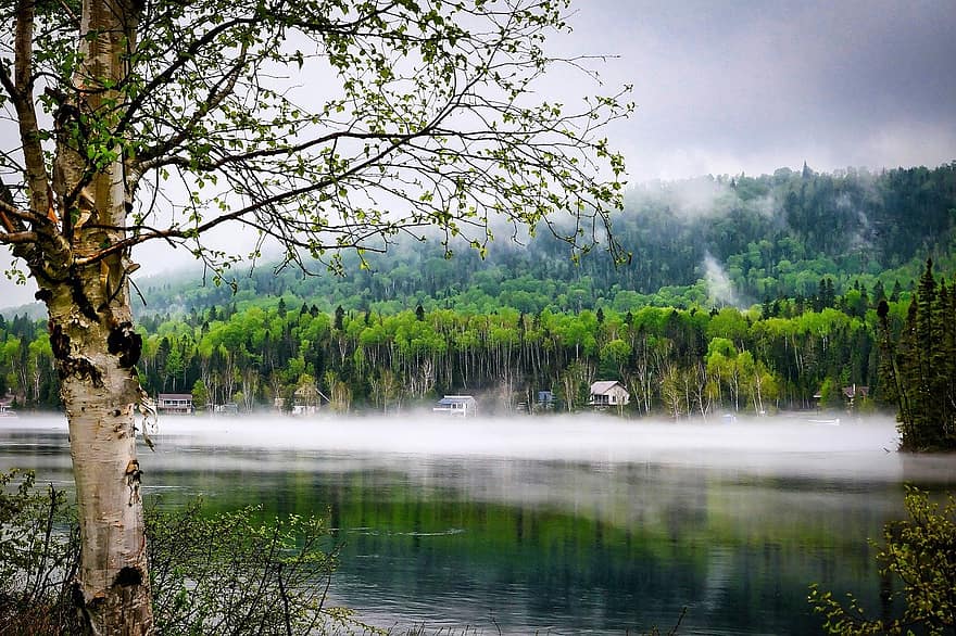 Landschaft, Frühling, Natur, das Wasser, Berge, Bäume, Birke, See, Reflexionen, Nebel, Wald