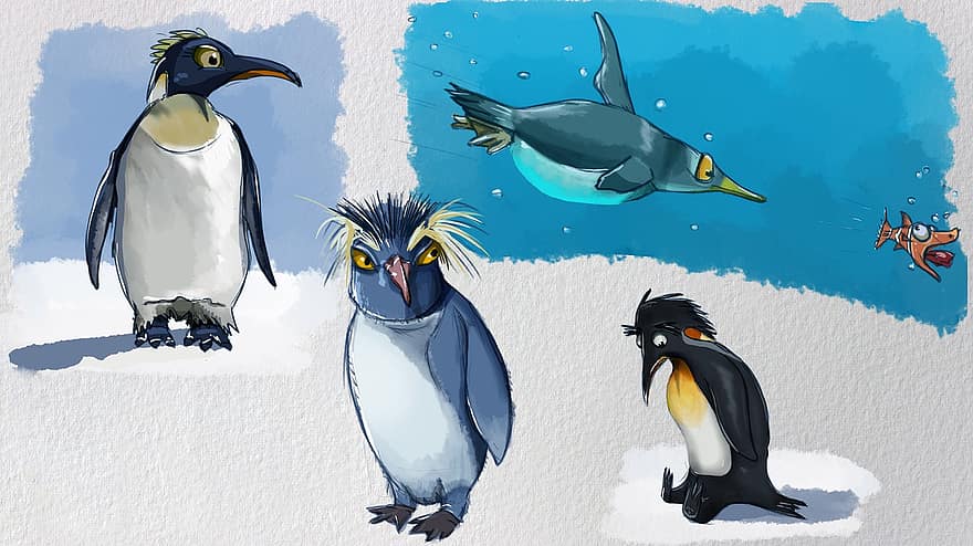 pingviini, vedenalainen, kalastaa, ajaa takaa, Antarktis, jää, pingviinit, lintuja
