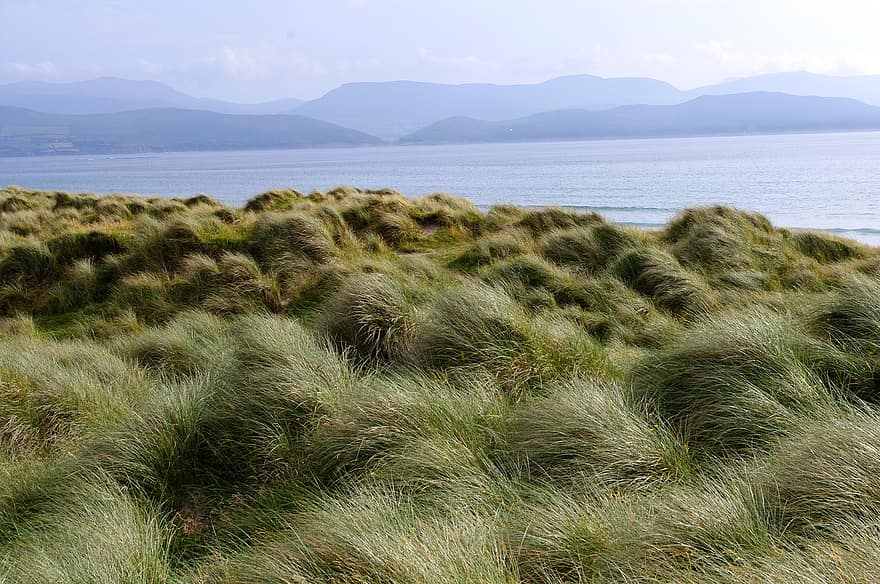 Grass, Coast, Sea, Ocean, Water, Atlantic, Tall Grass, Meadow, Wind, Seaside, Mountains