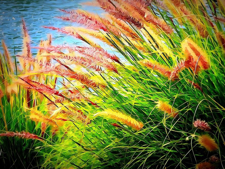 Rushes, Waterside, Plant, Colorful, Nature, Outdoor, Reed