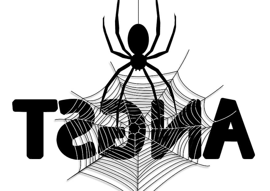 strach, hrůza, web, pavučina, pavouk, postava, čísla, síť, spojení, připojen, spolu
