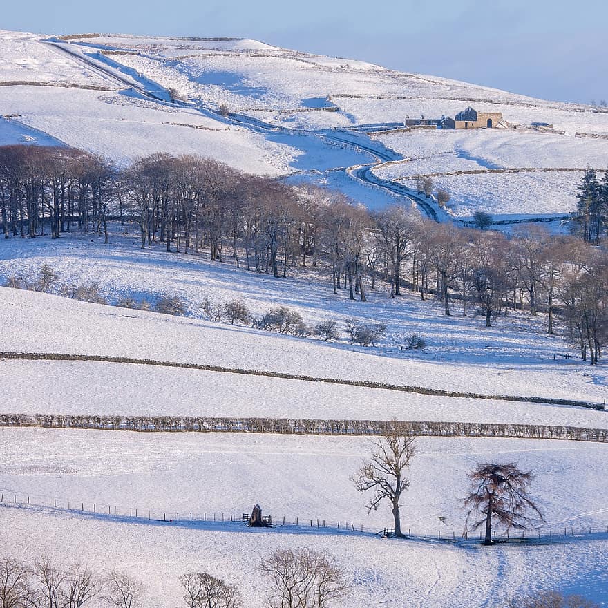 winter, sneeuw, heuvels, landschap, Weardale, Durham, Engeland, bomen, berg-, natuur, boom