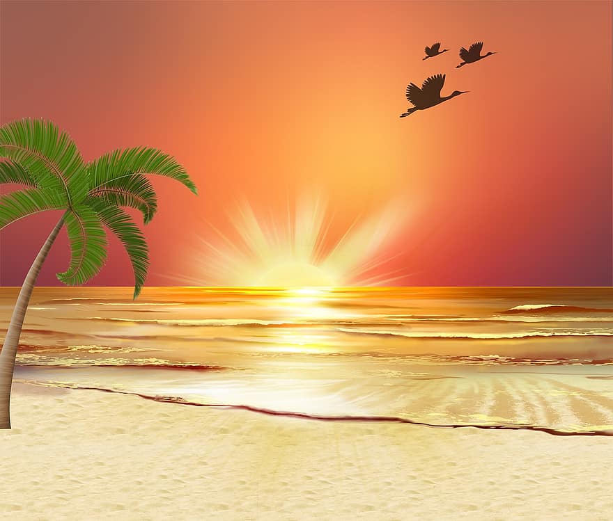 saulėlydžio paplūdimys, palmė, raudonas dangus, antys, papludimys, saulėlydis, jūros, dangus, vandenynas, vanduo, atostogos