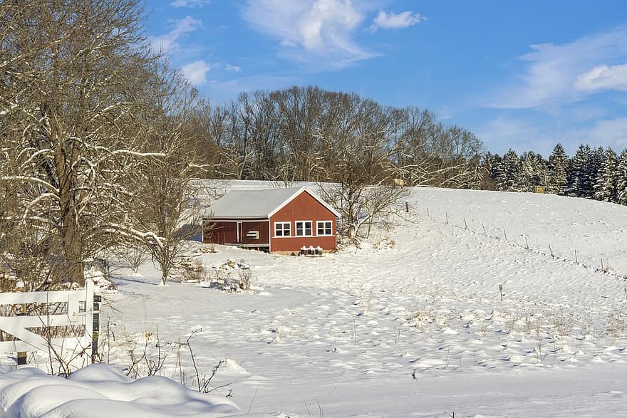 Natura, krajobraz, śnieg, zimowy, sceniczny, stodoła, drzewa, Southborough, Massachusetts, USA, drzewo