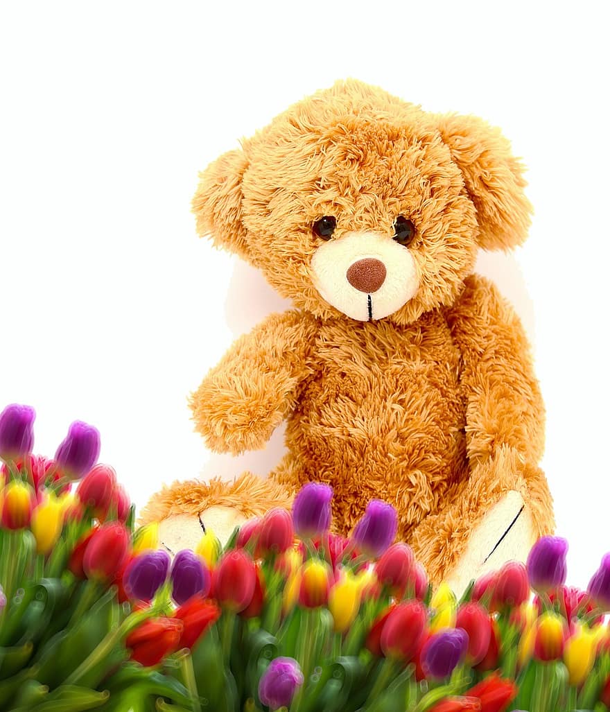 плюшевий ведмедик, смішно, ніжність, солодкий, Тедді, тюльпани