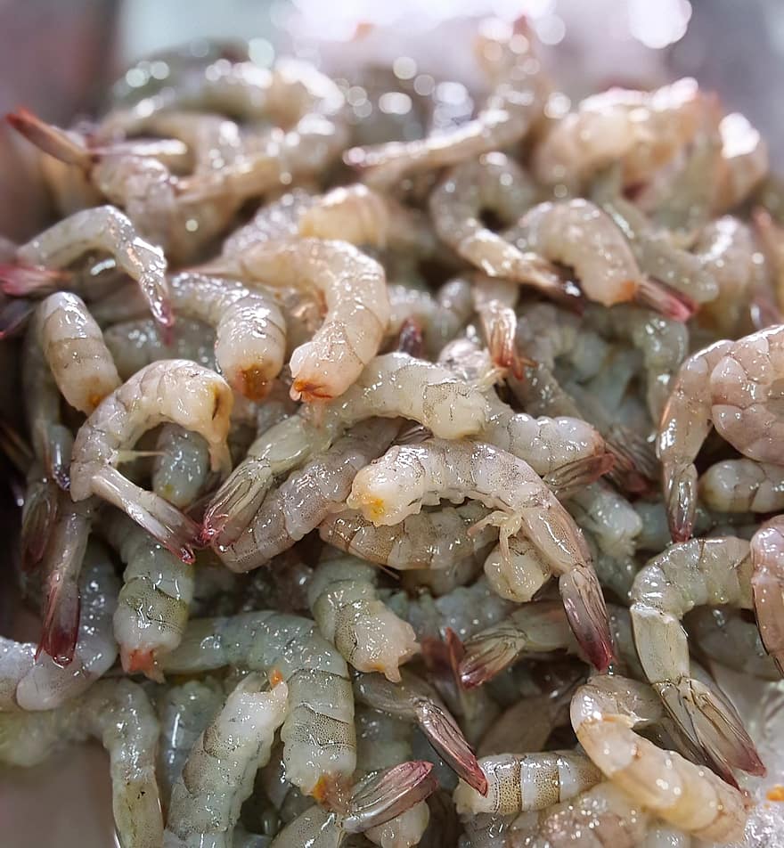 Shrimp, food, seafood, gourmet, freshness, close-up, meal, plate, prawn, cooking, healthy eating