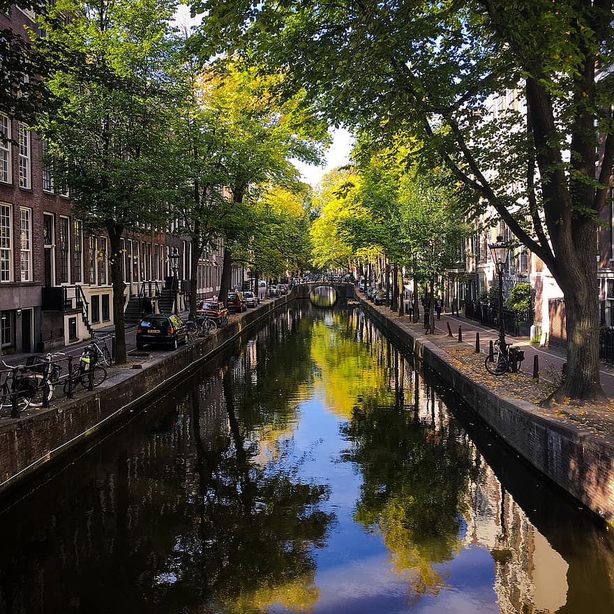 viaje, amsterdam, turismo, Europa, Holanda, canal, histórico, agua, arquitectura, reflexión, árbol