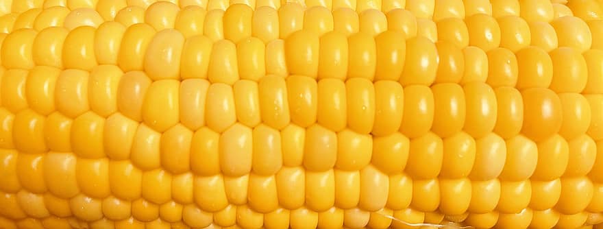 Corn, Corncob, Food, Corn Kernels, Yellow, Cereal Grain, Maize, Vegetable, Organic, Healthy, Texture
